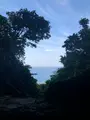 斎場御嶽の写真_464580