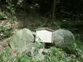 源氏の滝公園の写真_464720