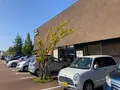 すし食いねぇ！ 小松沖店の写真_465091