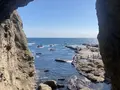 江の島岩屋の写真_465302