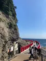 江の島岩屋の写真_465374