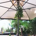 Locanda degli Scaligeriの写真_465690