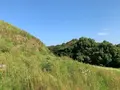 双六古墳の写真_466048