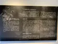 壱岐風土記の丘の写真_466122