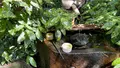 水澤観世音（水澤寺）の写真_466283