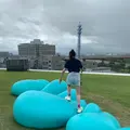 オノマトペの屋上の写真_466754