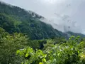 称名滝の写真_466886