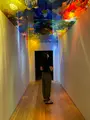 富山キラリの写真_466934