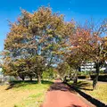 諏訪湖の写真_467089