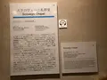スクロヴェーニ礼拝堂の写真_468396