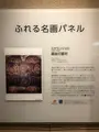システィーナ・ホールの写真_468402