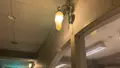 広島三次ワイナリーの写真_469405