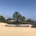 アカオハーブ＆ローズガーデンの写真_469653