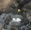 小沢の湯の写真_469666