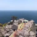熱海城の写真_469688
