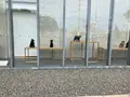 尾道市立美術館の写真_470179