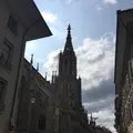 ベルナー・ミュンスター（Bern Cathedral）の写真_470254