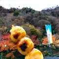 袋田の滝の写真_470364
