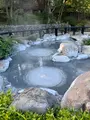 別府地獄めぐりの写真_470530