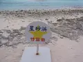 カイジ浜(星砂浜)の写真_470683