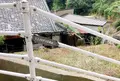 ネコノテパン工場の写真_471014