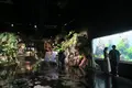 DMMかりゆし水族館の写真_471131
