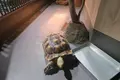 DMMかりゆし水族館の写真_471136
