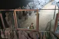 DMMかりゆし水族館の写真_471139