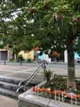 新太田町駅跡の写真_471240