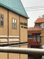 フラワー緑道　反町橋の写真_471242