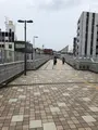 フラワー緑道　反町橋の写真_471243