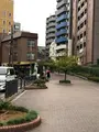 東横フラワー緑道の写真_471249