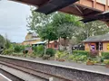 トディントンの写真_471478