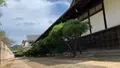 松濤園の写真_471538