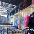 サンタモニカピアの写真_472037