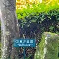 大聖院の写真_472160