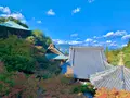 大聖院の写真_472168