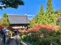 大聖院の写真_472175