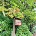 大聖院の写真_472178