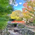 大聖院の写真_472179