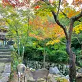 大聖院の写真_472182
