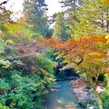 紅葉谷公園の写真_472189
