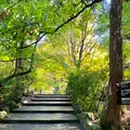 紅葉谷公園の写真_472190