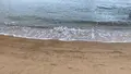 三原市すなみ海浜公園の写真_472363