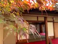 松山城二之丸史跡庭園の写真_472519
