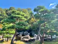 松山城二之丸史跡庭園の写真_472526