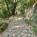 松山城二之丸史跡庭園の写真_472528