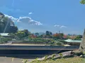 松山城二之丸史跡庭園の写真_472530