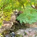松山城二之丸史跡庭園の写真_472541