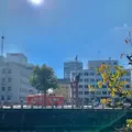 三之丸跡 堀之内公園の写真_472545